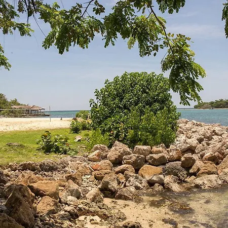 Sea Breeze Beach Studio - Negril-3