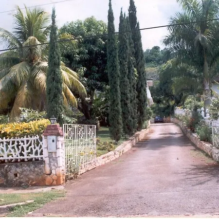 Comfort Kingdom Villa-2
