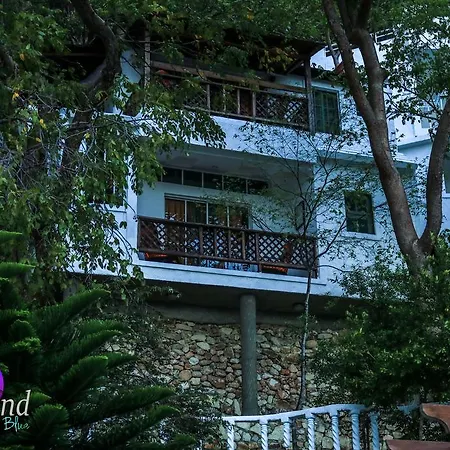 Daymond Blue Tropical Lodge-2