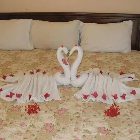 Executive Shaw Park Guest House-2