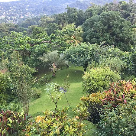 Treetops Villa-3
