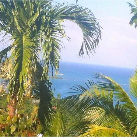 My-Places Montego Bay Vacation Home-3
