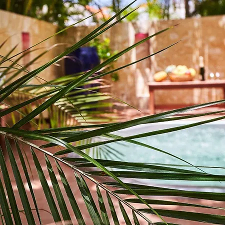 La Flor Del Caribe Beach & Spa-3