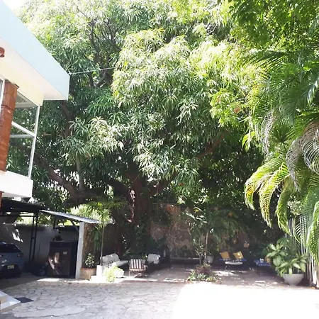 Hotel Alcaldeza - Garden House-3