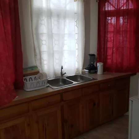 Wizzy Apartment Montego Bay-2