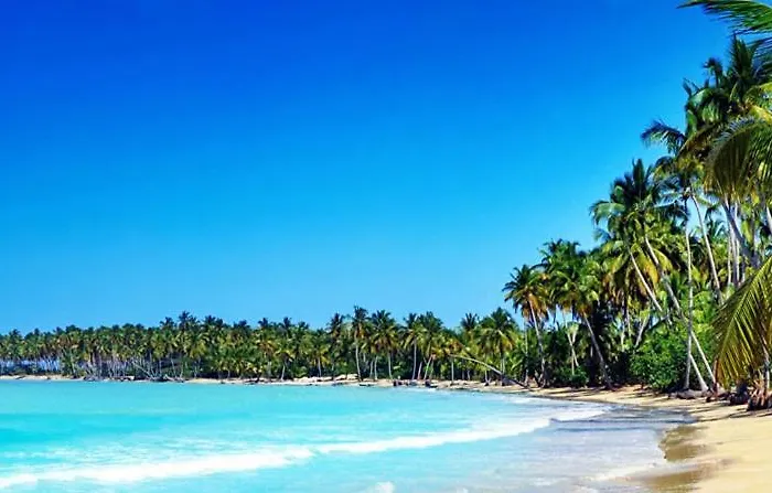 Villa Directly On The Beach, Las Ballenas Las Terrenas admite animales