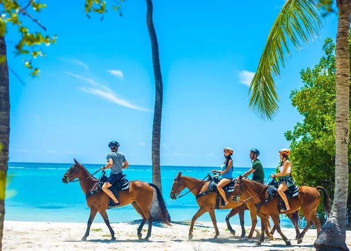 Caribbean And Sun Punta Cana admite animales