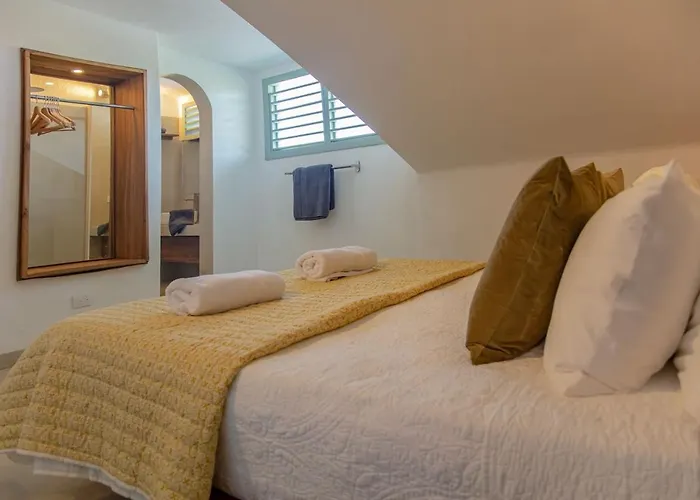 Tropical Penthouse In The Heart Of Las Terrenas! admite animales
