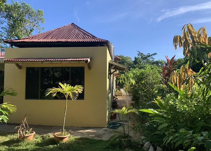 Can Jam Retreat Negril