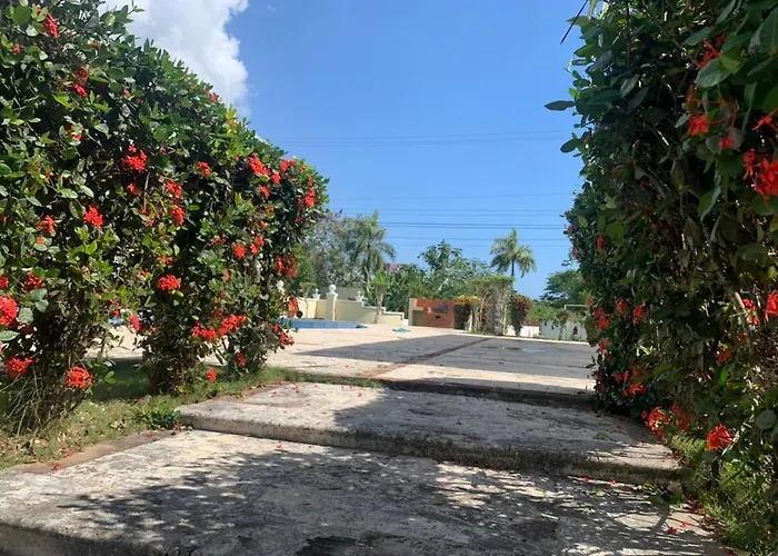 Appartamento Beautiful Dreams Marina Garden Boca Chica Pool And Wifii Free