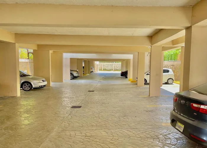 Hondvriendelijke hotels in Punta Cana