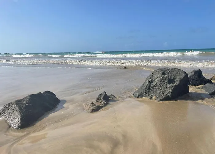 True Beach Front Studio In Isla Verde San Juan que aceita animais de estimação