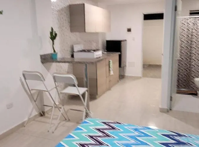 Star Place 2 Punta Cana aceita animais de estimação