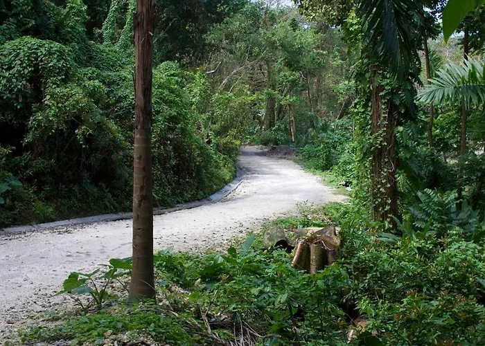 The Likkle Nature Queen Cottage Port Antonio