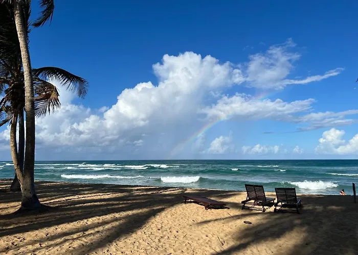 Apartamento Dona Marcelina Apartamento Punta Cana aceita animais de estimação