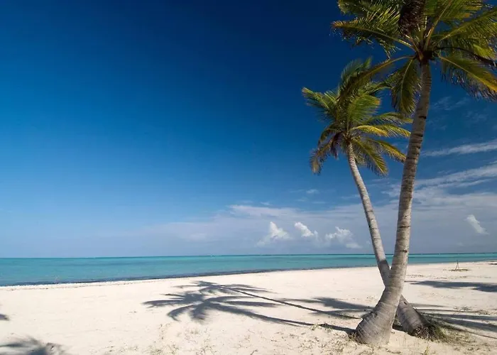 2 Br/2 Ba Spacious Condo Close To Beach Gated_Wifi Punta Cana