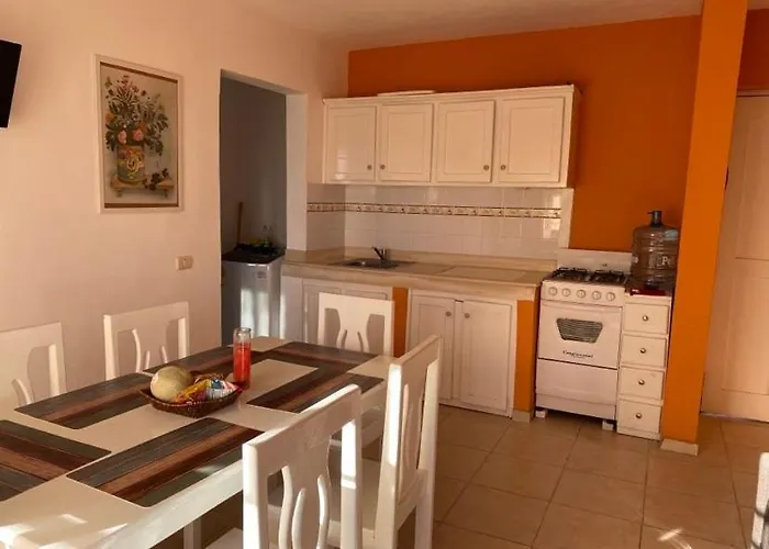 Sunny Apartment Bayahíbe admite animales