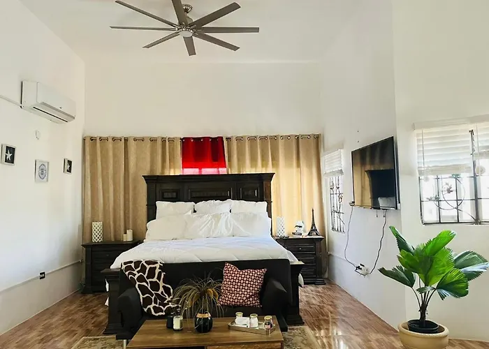 Hotel Chasucourt Montego Bay