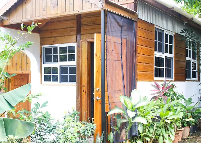 Van Villa Guesthouse Negril