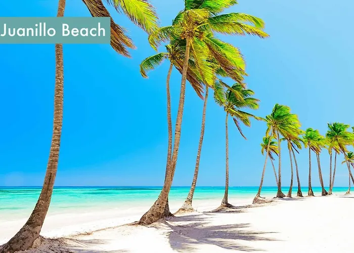 Huisdiervriedelijke Acogedor Apartamento A Pasos De La Playa Caribena Bavaro Punta Cana