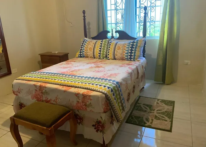 Poinciana Apartment One 257 Poinciana Drive Green Wood Montego Bay Jamaica che accetta animali