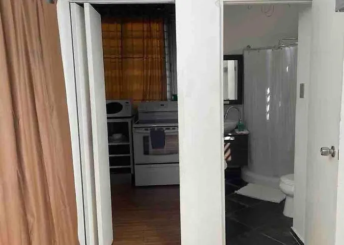 Centric Rustic Modern Downtown Executive Pad Apartment Mayaguez