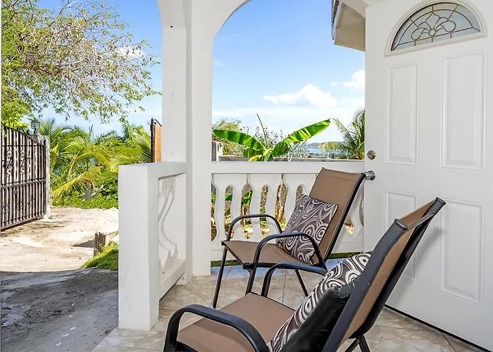 Palm Leaf Cottage Montego Bay che accetta animali