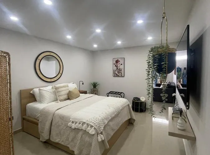 Brand New City Center Studio Near Airport Carolina