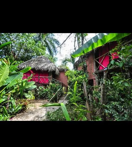 Samana Tropical Jungle Treehouse. Bed & Breakfast