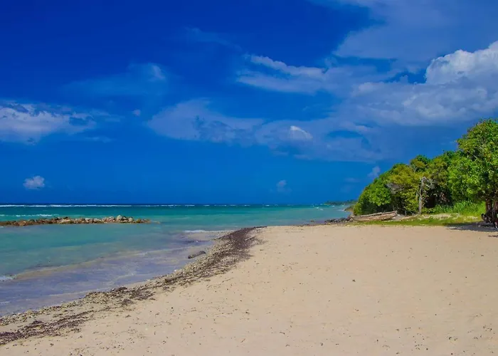 Malibu Ocean View Studio Montego Bay