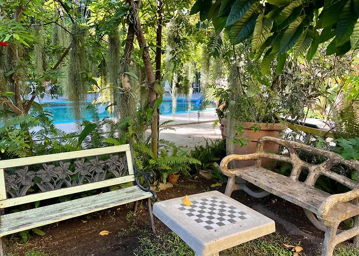 Orchid Cottage Kingston