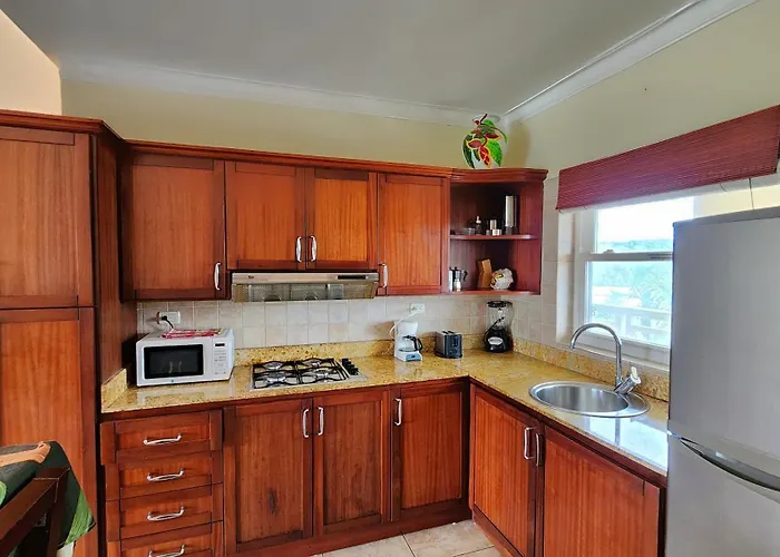 Pet friendly Ocean Dream Top Floor Studio With Balcony Cabarete