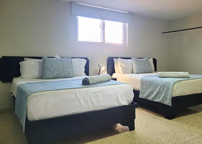 Hotel Olimpo La Romana acceptant les animaux