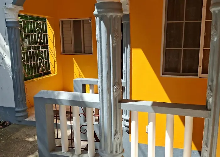 Viva Violas Port Antonio