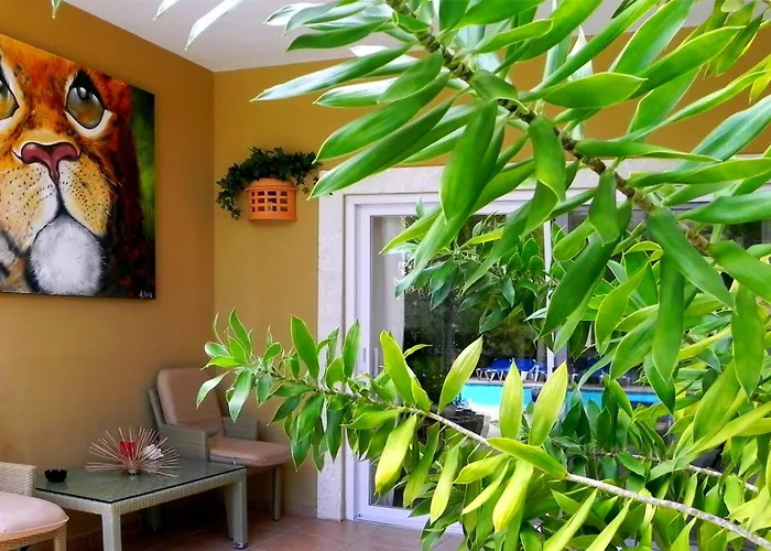 Pet friendly Ocean Dream Luxary 2Bdr 2Bth Steps From The Ocean Apartment Cabarete
