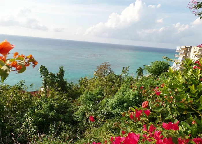 Hotel Court Manor At Montego Bay Club
