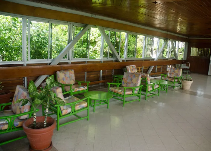 Ocean Air Beach Studio At Montego Bay Club Resort che accetta animali