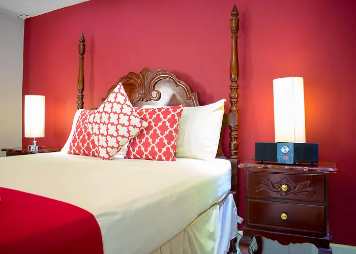 Casa Alexandria Guest Apartment Kingston