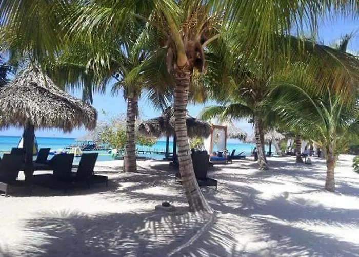 Cadaques Caribe Pez 103 Apartment Bayahibe