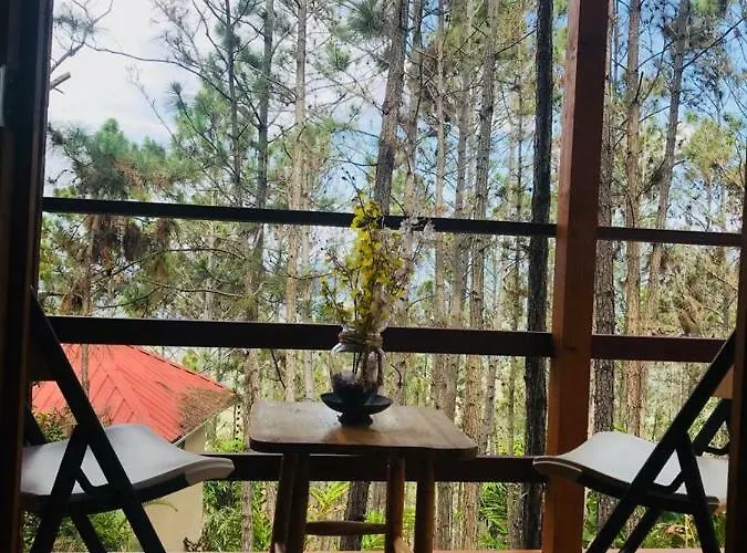 Pet friendly Casa De Arbol, Rancho Tierra Alta Hotel Jarabacoa