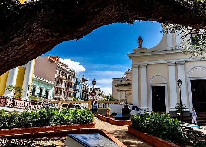 Navona Studios San Juan