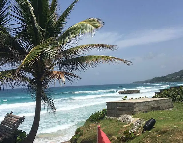 Deluxe Studio 228 Negril