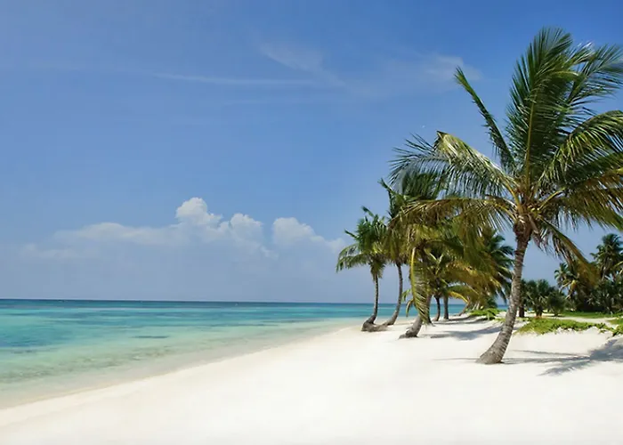 Villa With 3 Bedrooms In Punta Cana, With Private Pool, Furnished Gard