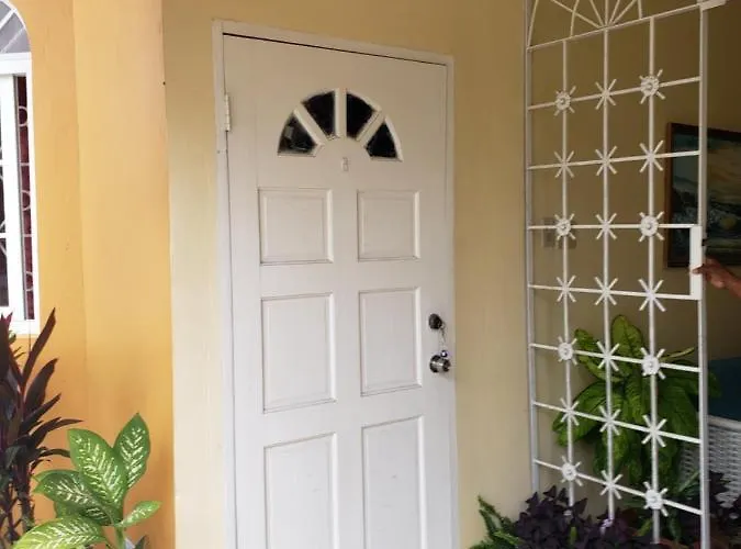 Wizzy Apartment Montego Bay