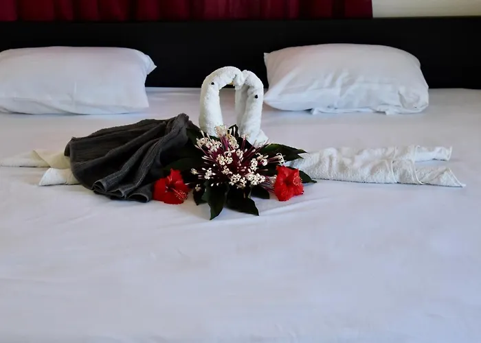 Villa Laeti Las Terrenas admite animales